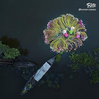 Riviu riviu